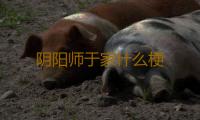 阴阳师于家什么梗 