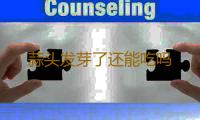 蒜头发芽了还能吃吗 
